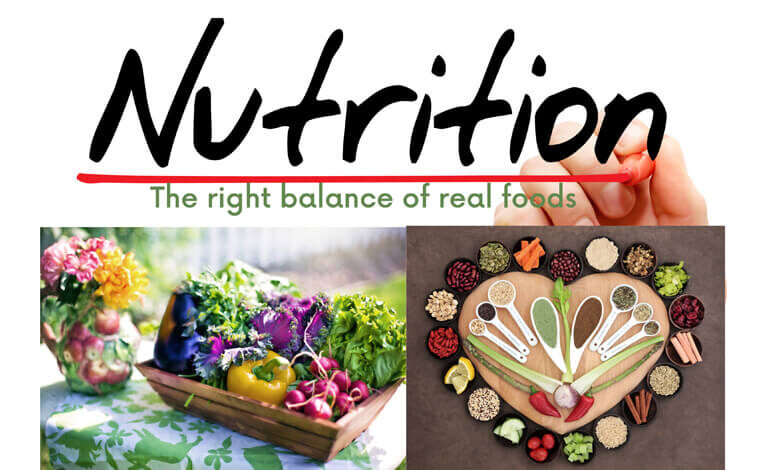 Why Nutrition is so important?