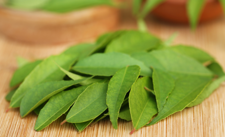 करी पत्ता – स्वास्थ्य के लिए एक जड़ी बूटी (Curry Leaves – A Herb for Health)