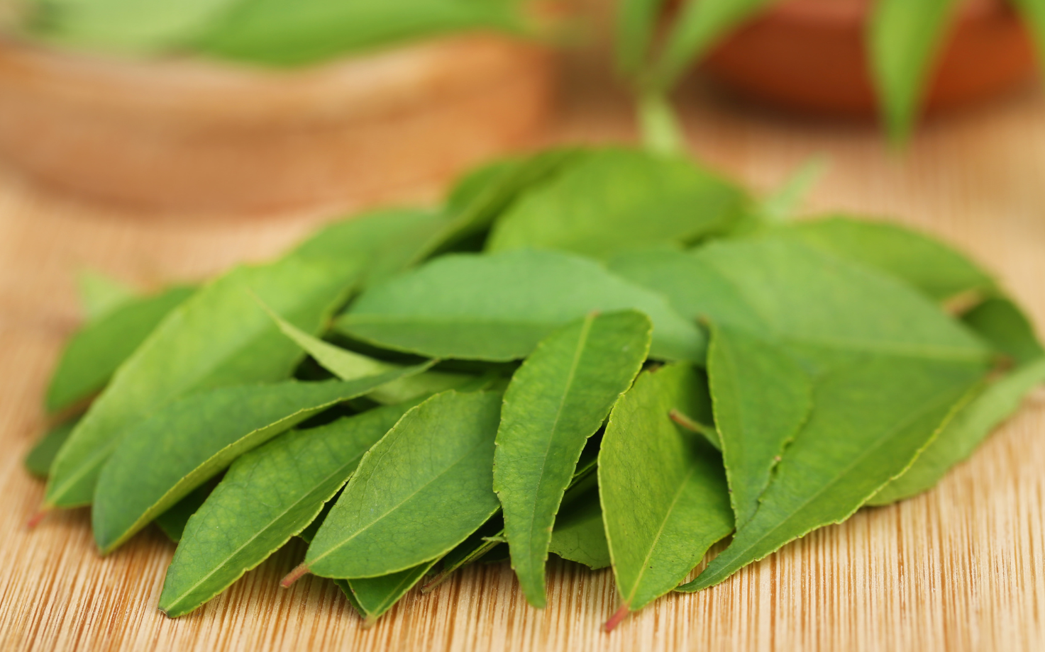 करी पत्ता – स्वास्थ्य के लिए एक जड़ी बूटी (Curry Leaves – A Herb for Health)