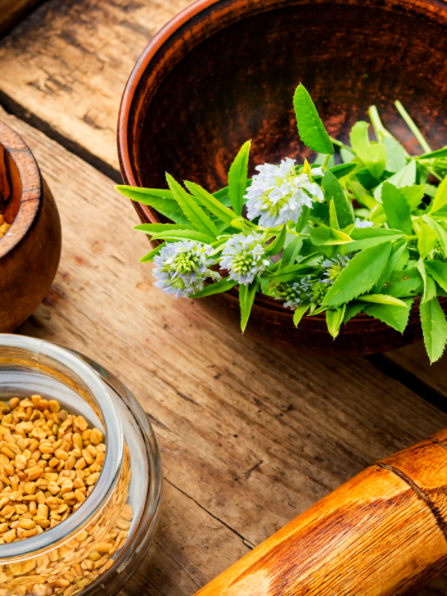 Fenugreek Leaves Benefits for Health