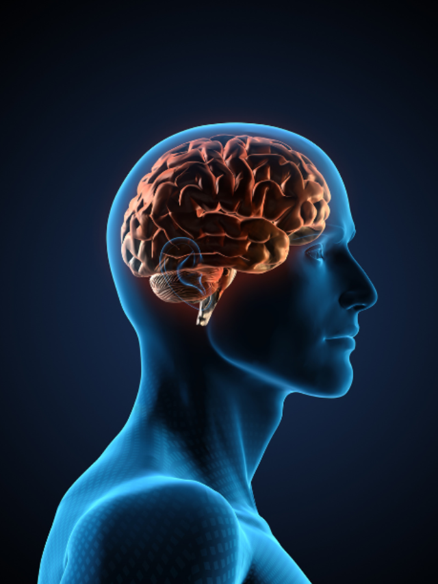 10 Psychological Facts about the Human Brain