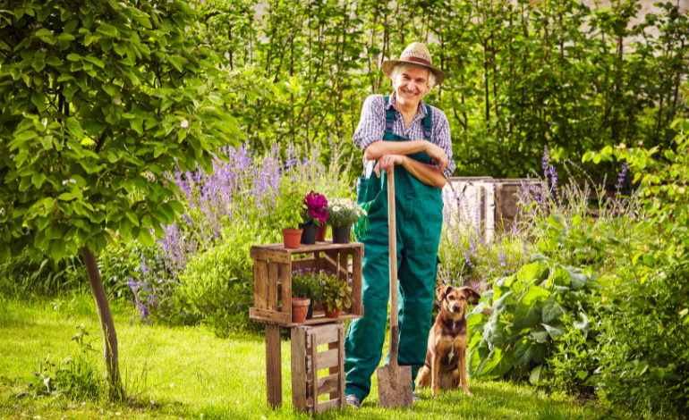 Gardening Tools & Equipment for Kitchen Garden