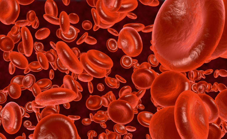 How to Raise Your Hemoglobin Levels Naturally
