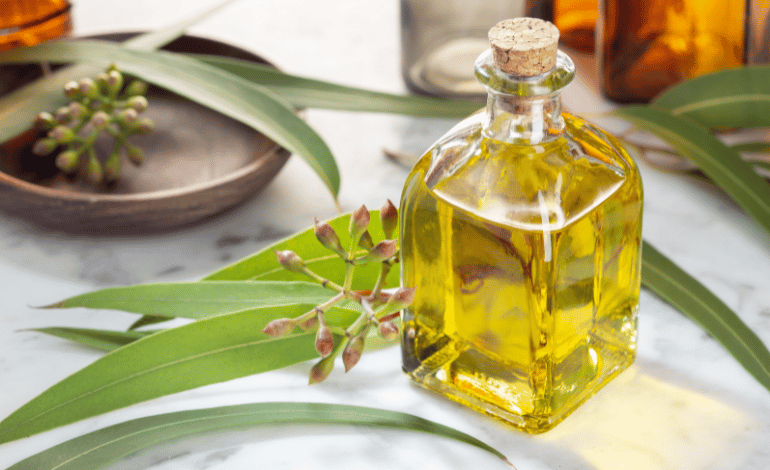 Discover 9 Incredible Benefits of Eucalyptus Oil
